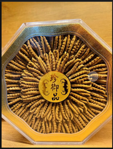 武漢回收冬蟲夏草