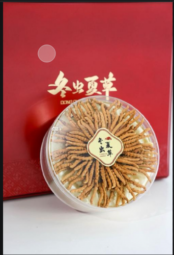 懷仁回收冬蟲夏草  