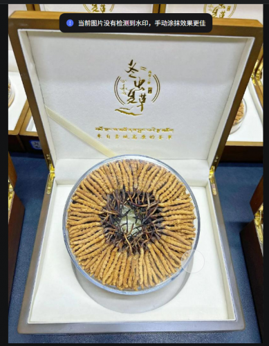 武漢回收冬蟲夏草